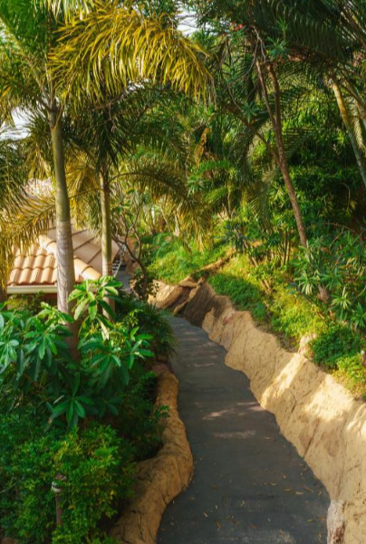 Experiencia Suk Jai (Alegria interior)| Tailandia 12 Días | 17-29 Julio 2026