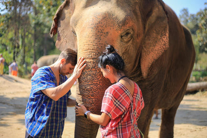Experiencia Suk Jai (Alegria interior)| Tailandia 12 Días | 17-29 Julio 2026