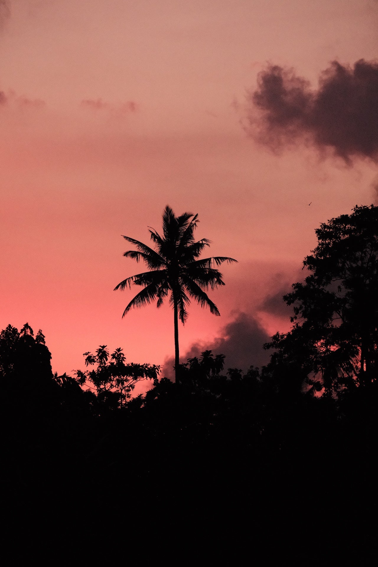 Experiencia Suk Jai (Alegria interior)| Tailandia 12 Días | 17-29 Julio 2026