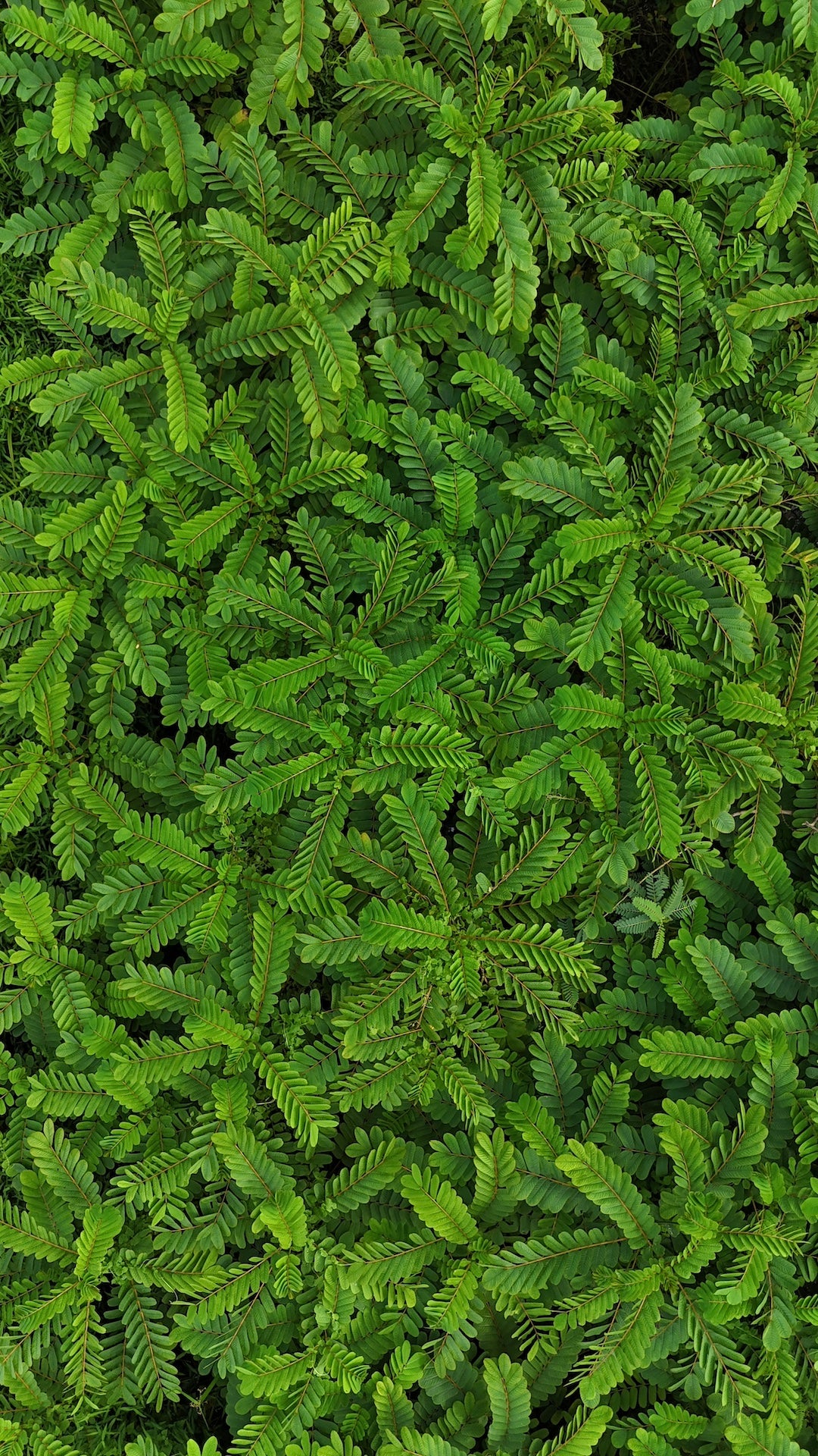 Experiencia Suk Jai (Alegria interior)| Tailandia 12 Días | 17-29 Julio 2026